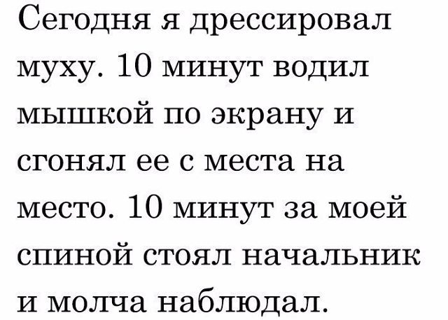 Прикольные комментарии и высказывания из Сети