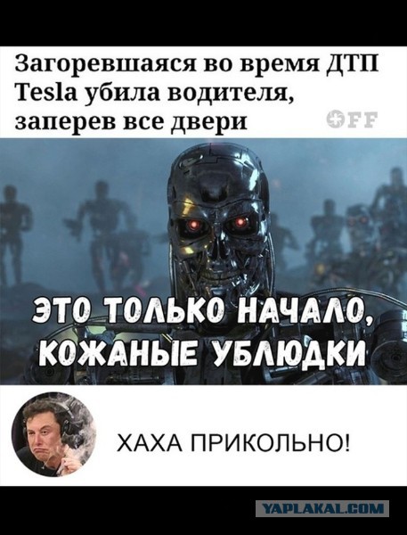 Картинков с частушками вам в ленту!