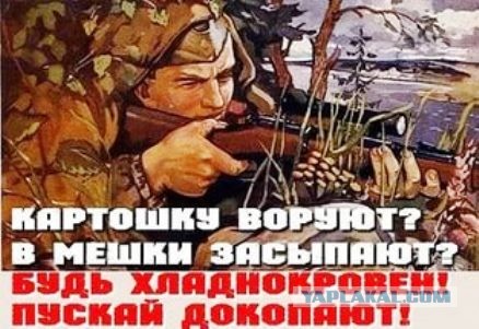 Плакаты 18+