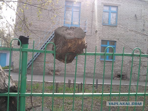 Казусы моего города. Часть первая