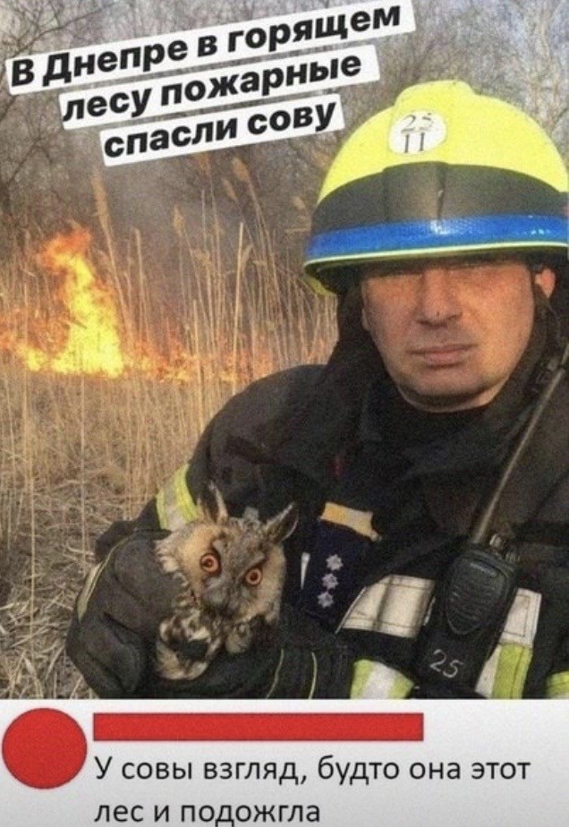 Картинки ни о чем