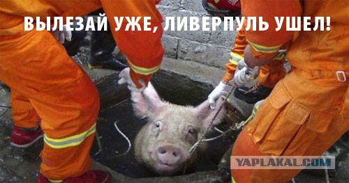 РФПЛ, межсезонье, 2019-2020