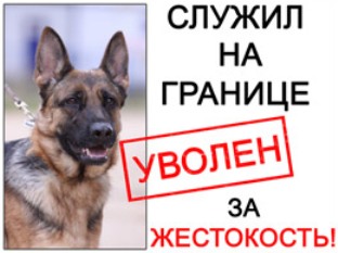Негр довыпендривался