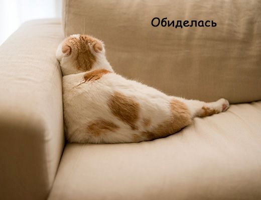 Женщины - они как кошки