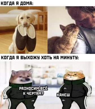 Юмор в картинках 17.11.20