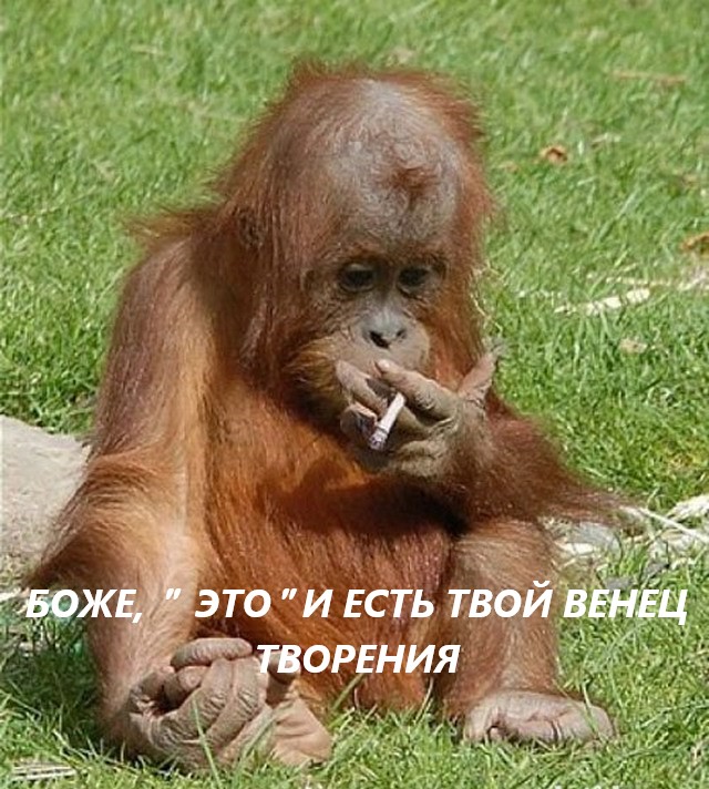 Мнение якутского шамана