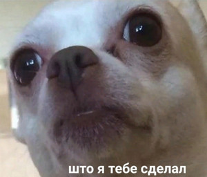 Когда жена распускает руки