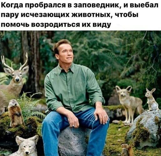 Ну чё, по чернушке?