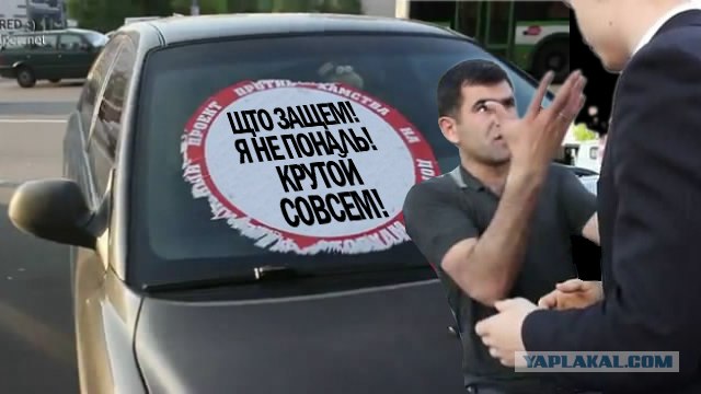 СтопХам 39 Ничего себе! / Not bad !
