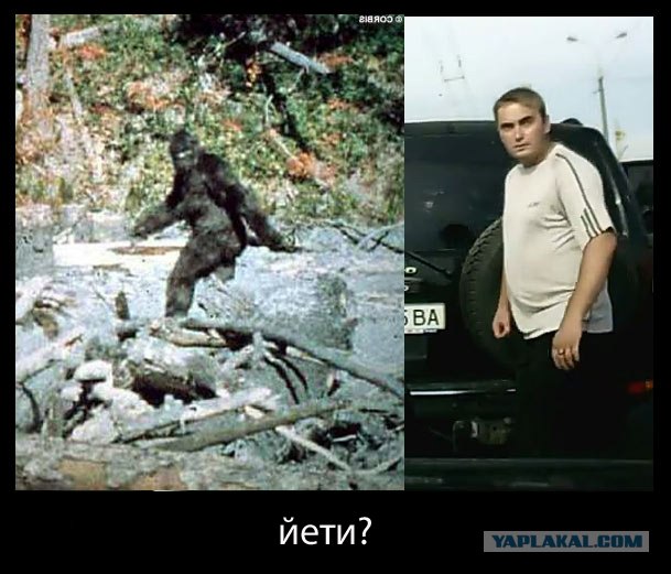 Неадекват на джипе