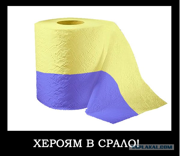 Украина впервые применила ударные дроны Bayraktar на Донбассе