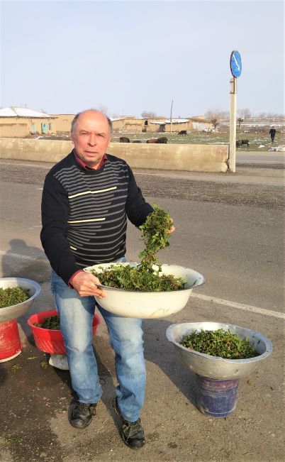 Узбекистан на машине, или чем всё это закончилось