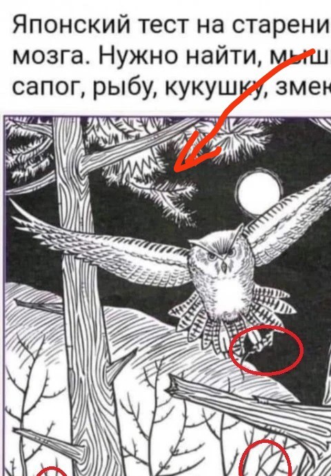 Картинки с надписями и всякие жизненные фразы