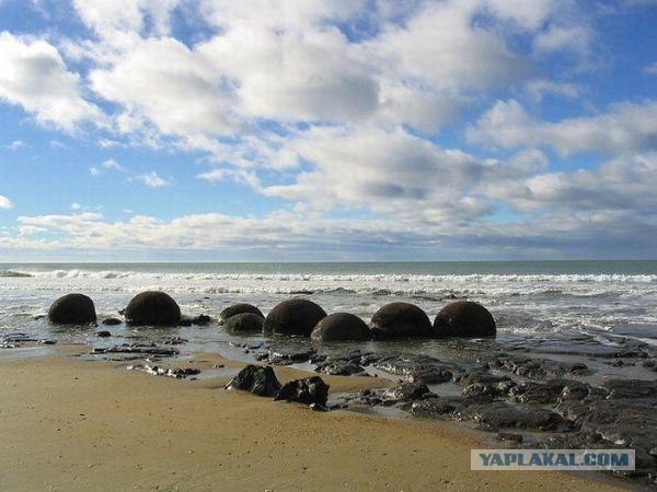 Валуны Моераки из Новой Зеландии