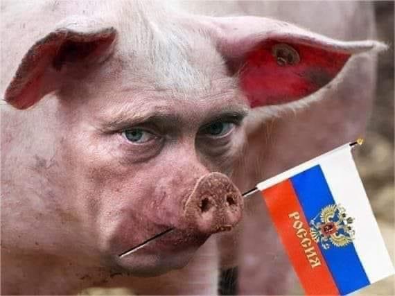 А где Путин?