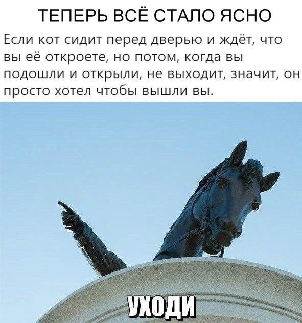 Картинки 21.06.22