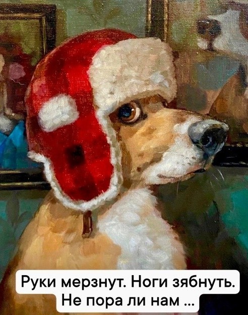 Приколы с налетом деградации