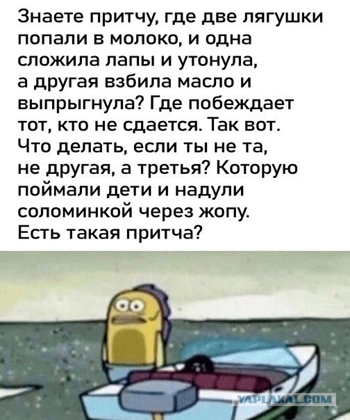 Так себе картинки 24.11.23