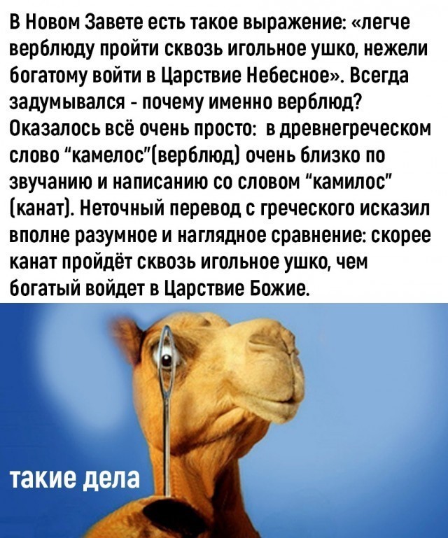 Подборка Филологическая, частично Лингвистическая, местами Переводческая