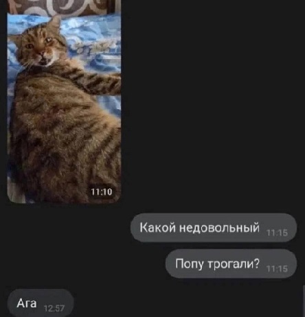 Папа, покажи оленя