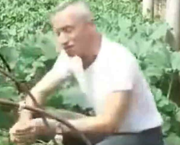 А у вас какой урожай?