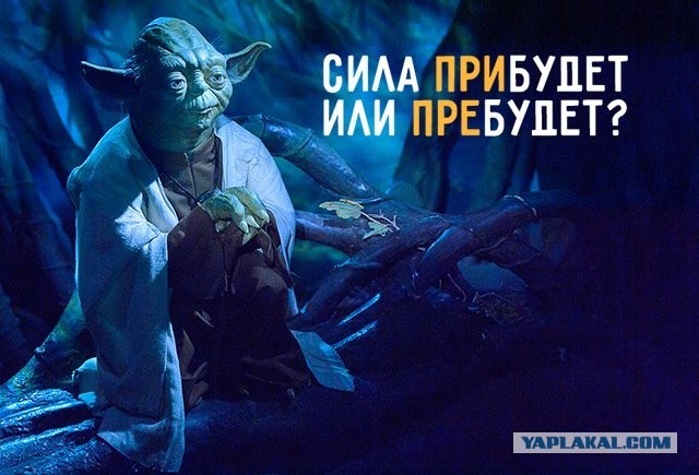 Сегодня днюха Григория Перельмана.Все забыли чтоли?