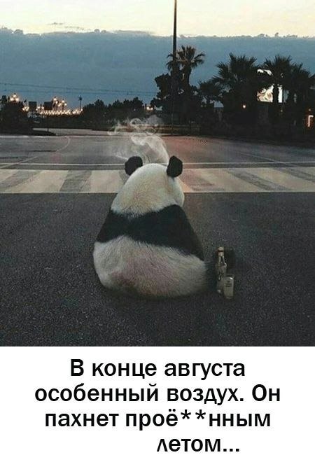 Так себе картинки 30.08.24