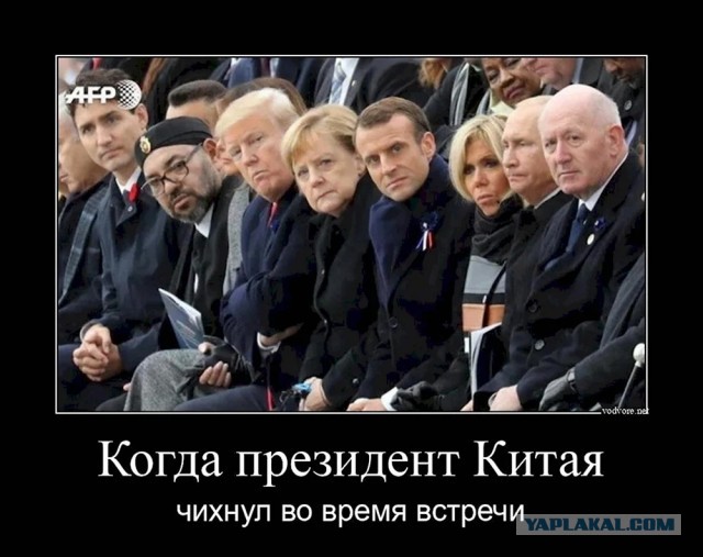Так себе картинки 13.02.25
