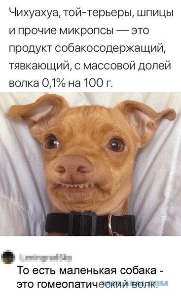 Картинки для деградации 3 (разной степени свежести)