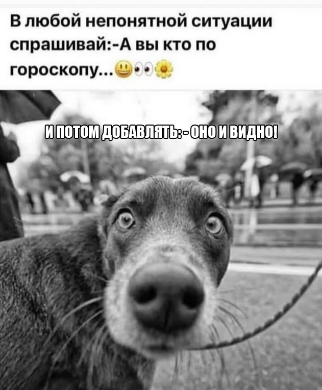 Картинки для деградации 41 (разной степени свежести)