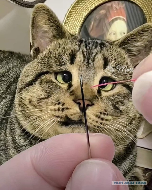 Пусть понедельник не будет столь тяжелым