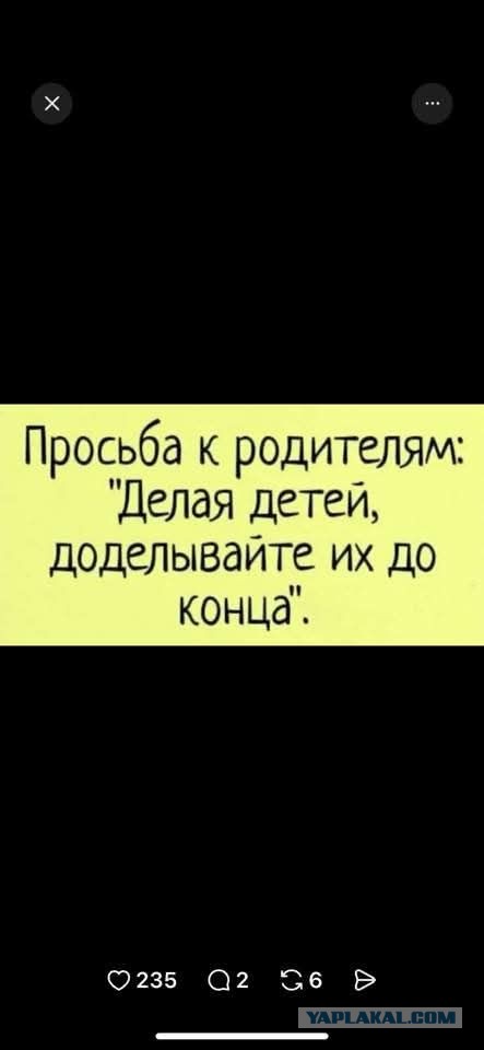 Картиночки, баянчики 08 декабря