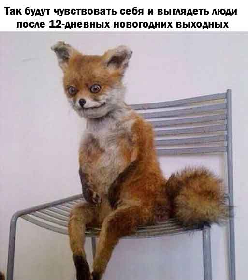 Мемоделов и мемораспространителей Япа с Наступающим!