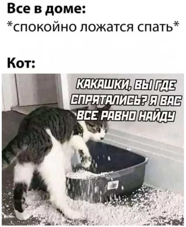 Картиночки, баянчики 18 июня