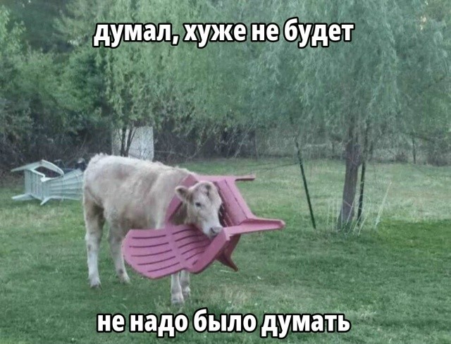 Картинки для деградации 287 (разной степени свежести)