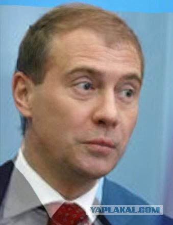 Медвепут