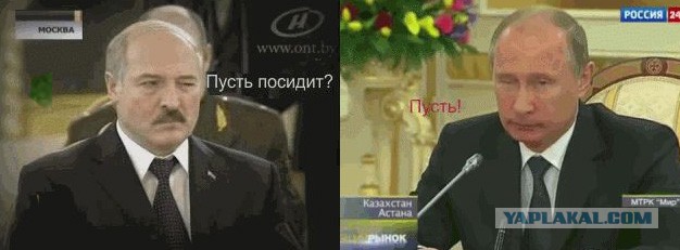 мы друг дгуга поняли