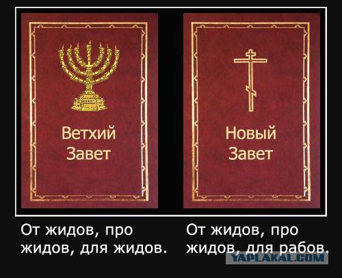 Похожи, как братья!