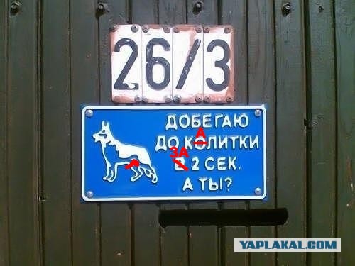 Шлёп