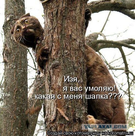 Тема для юмора