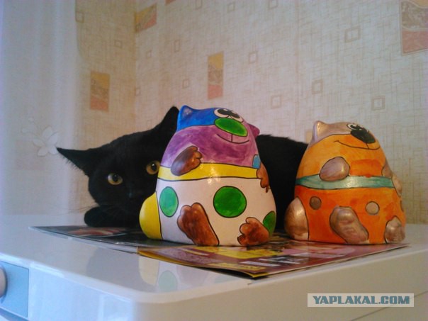 Котовторник 18.03.2014