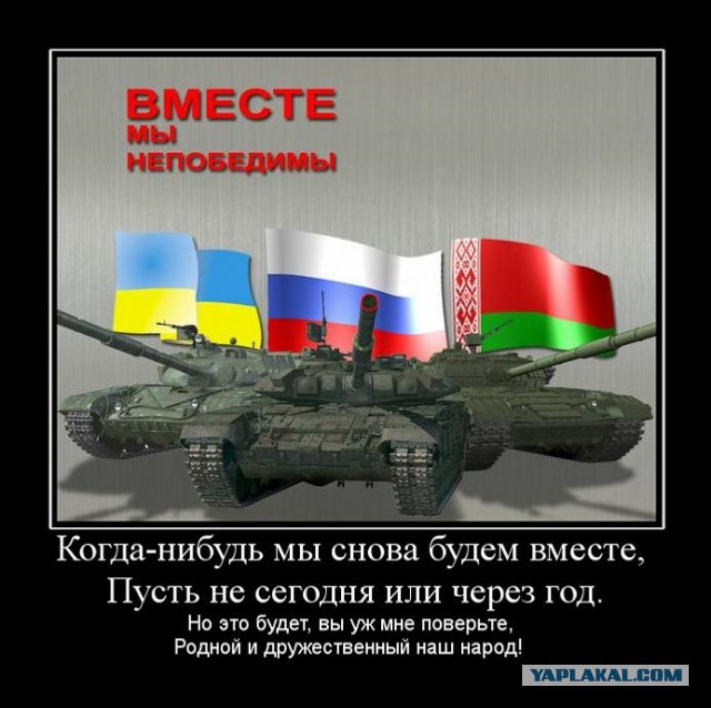 Никогда мы не будем братьями. Наш ответ.
