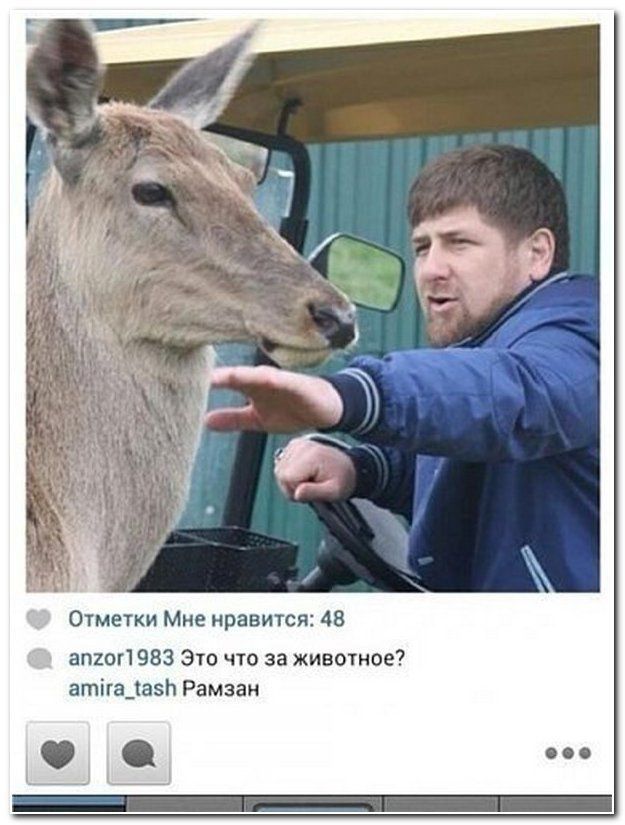 Смешные комментарии из социальных сетей