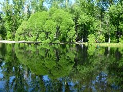 Деревенская Америка