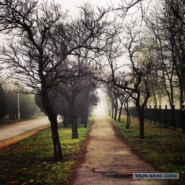 Там где снимали «Silent hill»