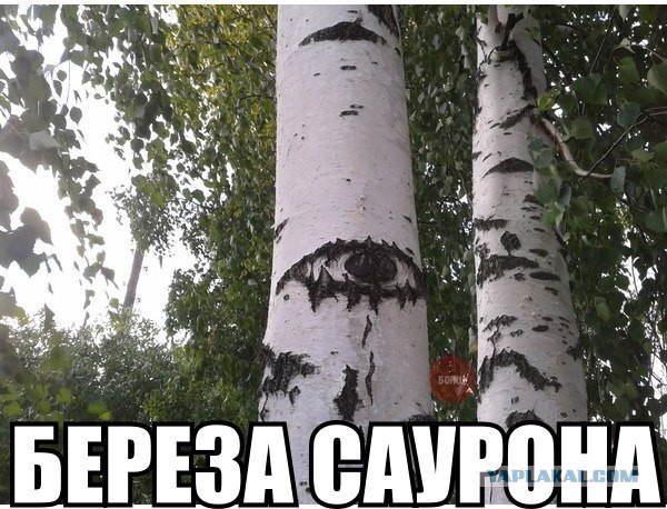 Снова картинки (что-то взгрустнулось)