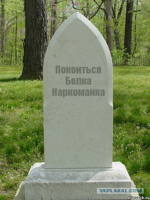 В Сыктывкаре школьники отняли наркотики у белки