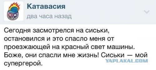 Крик души, когда "СИСЕГ НЕТ"