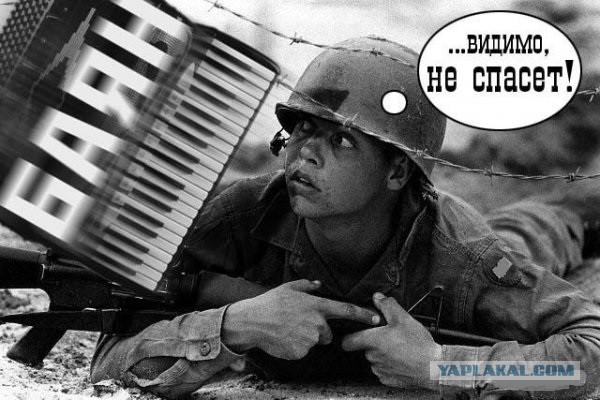 Будни ЯПа.