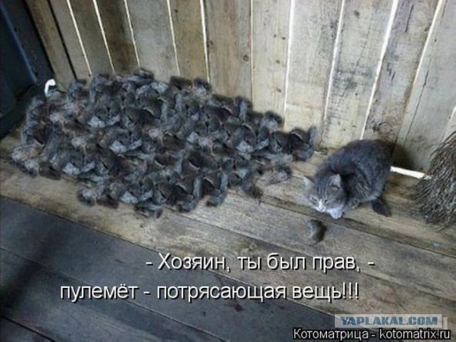 Друг друга бы лучше застрелили